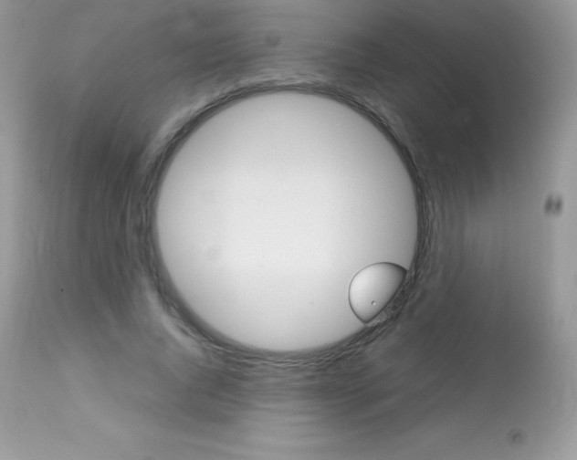 X0000113640736200909181328