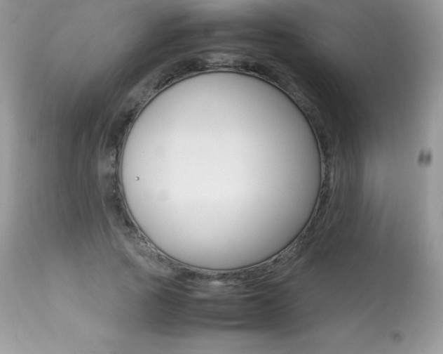 X0000113640737200909181328