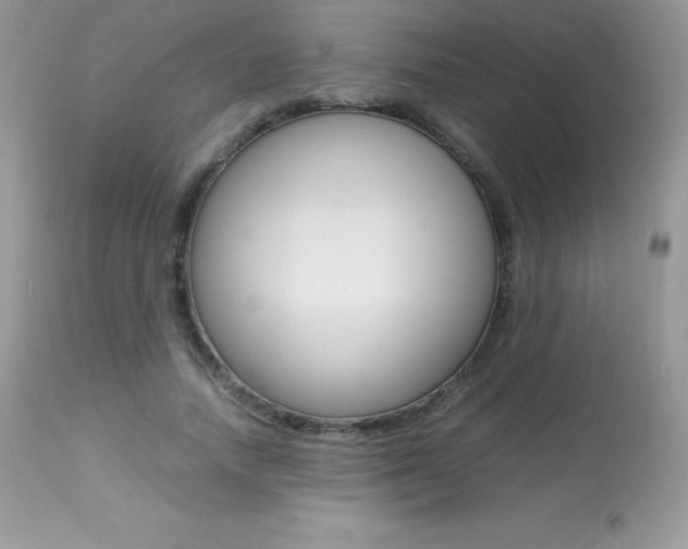 X0000113640738200909181328