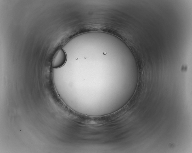 X0000113640739200909181328