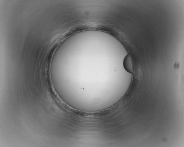 X0000113640740200909181328