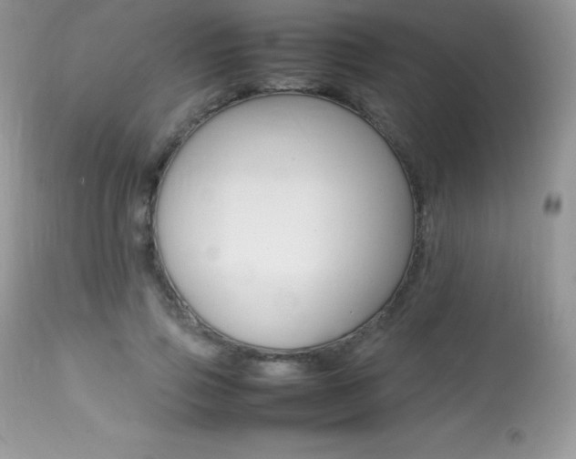 X0000113640741200909181328