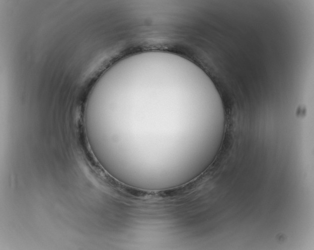 X0000113640742200909181328