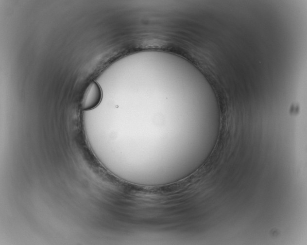 X0000113640743200909181328
