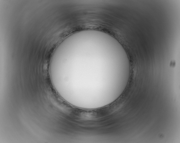 X0000113640745200909181329