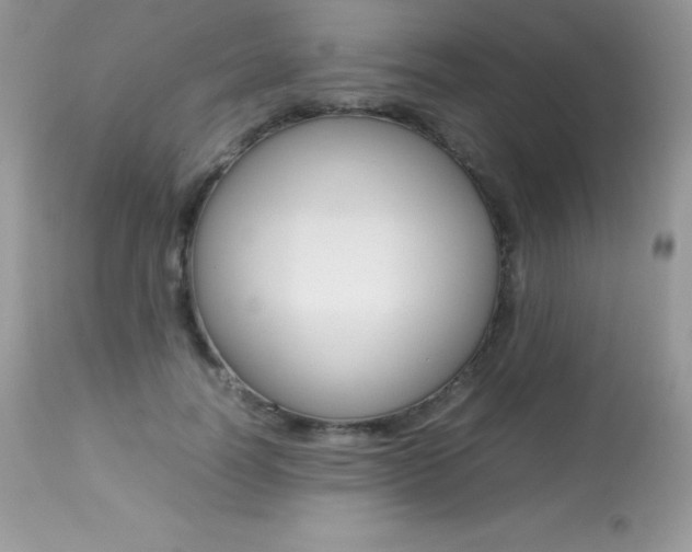 X0000113640746200909181329