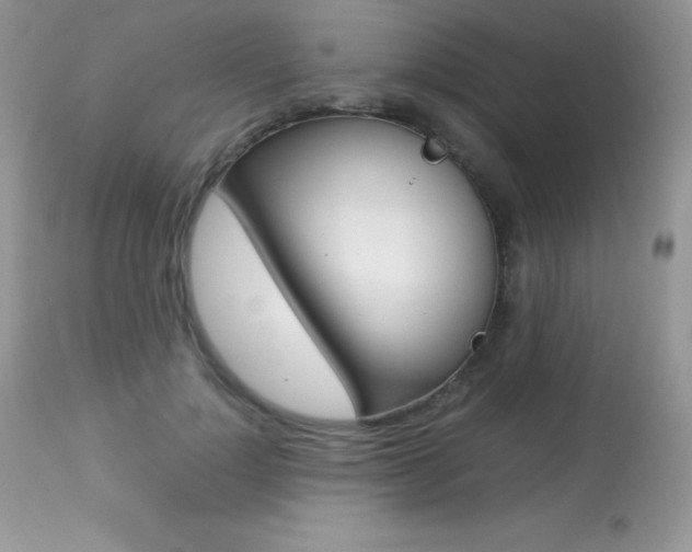 X0000113640748200909181329