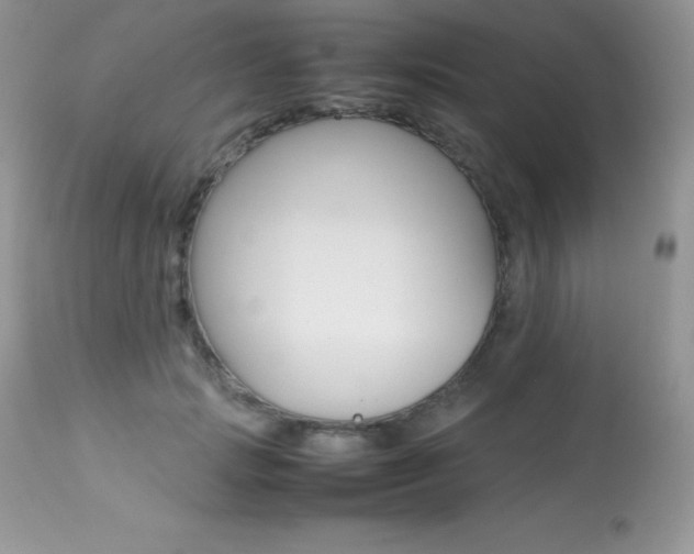 X0000113640749200909181329