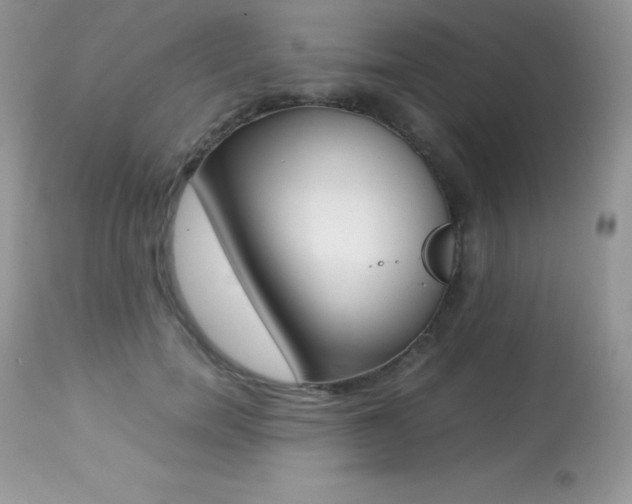 X0000113640750200909181329