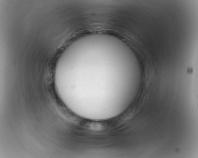 X0000113640751200909181329