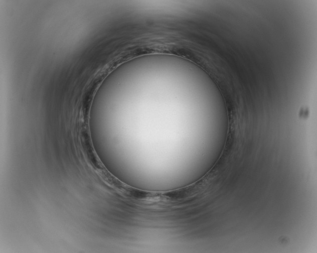 X0000113640752200909181329