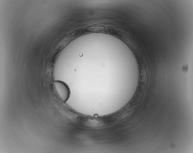 X0000113640753200909181329