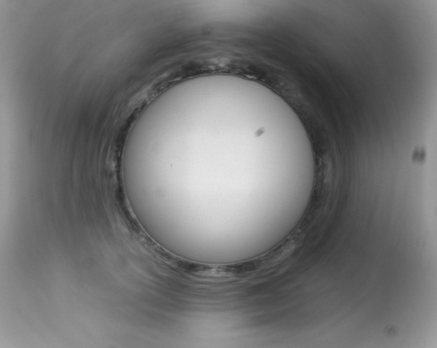 X0000113640754200909181329