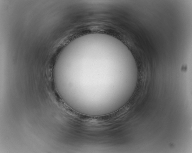 X0000113640755200909181329
