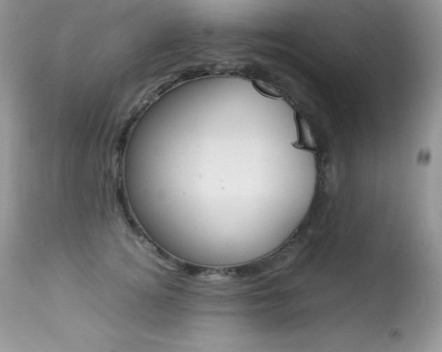 X0000113640756200909181329