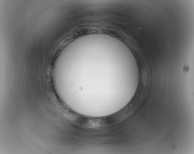 X0000113640757200909181329
