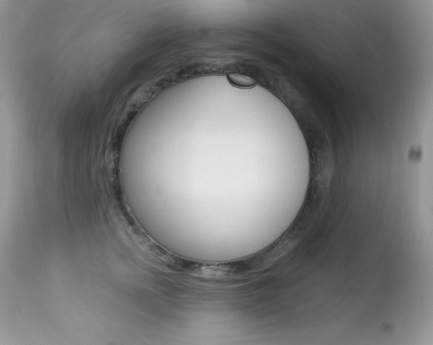 X0000113640758200909181329