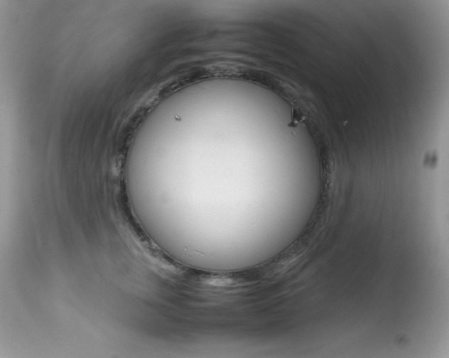 X0000113640759200909181329