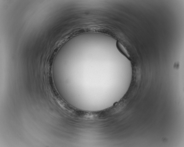 X0000113640760200909181329