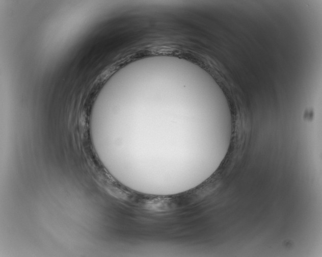 X0000113640761200909181329
