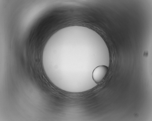 X0000113640762200909181329