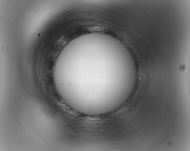 X0000113640763200909181329