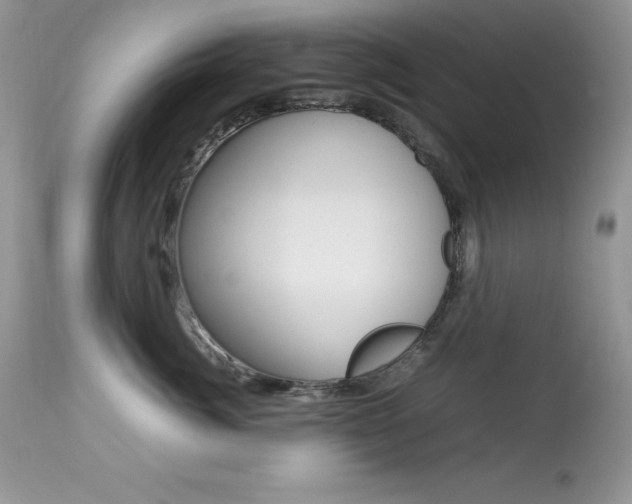 X0000113640764200909181329