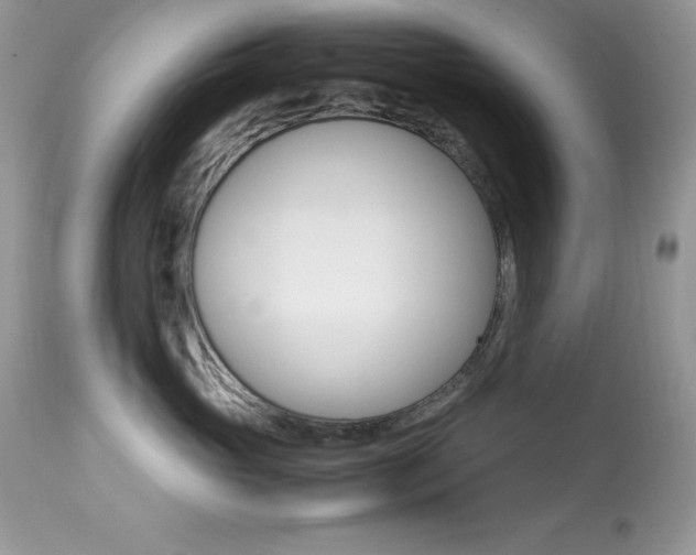 X0000113640765200909181329