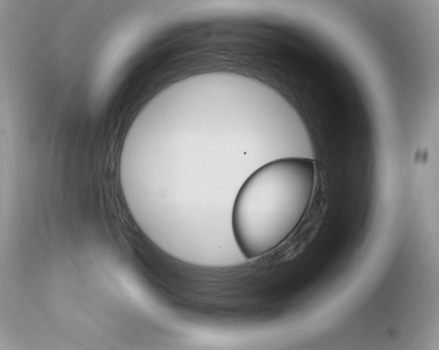 X0000113640766200909181329