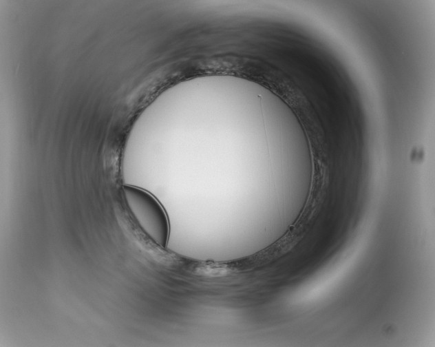 X0000113640767200909181329