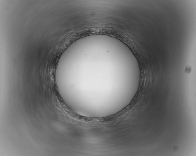 X0000113640770200909181328