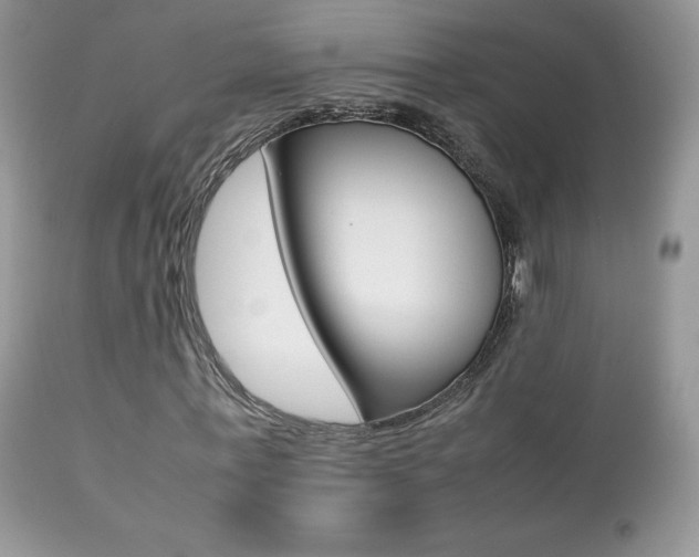 X0000113640771200909181328
