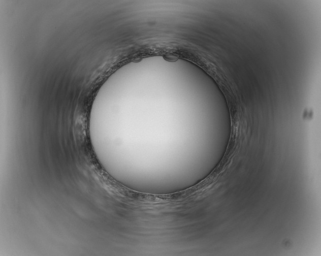 X0000113640772200909181328