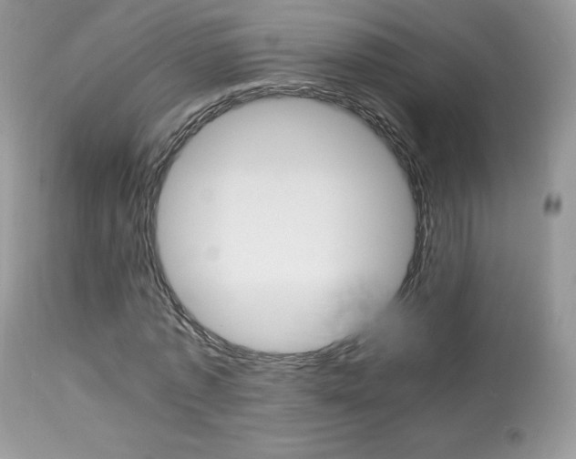X0000113640773200909181328