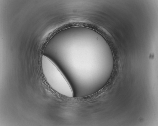 X0000113640775200909181328