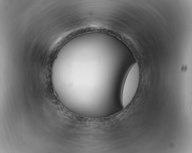 X0000113640776200909181328
