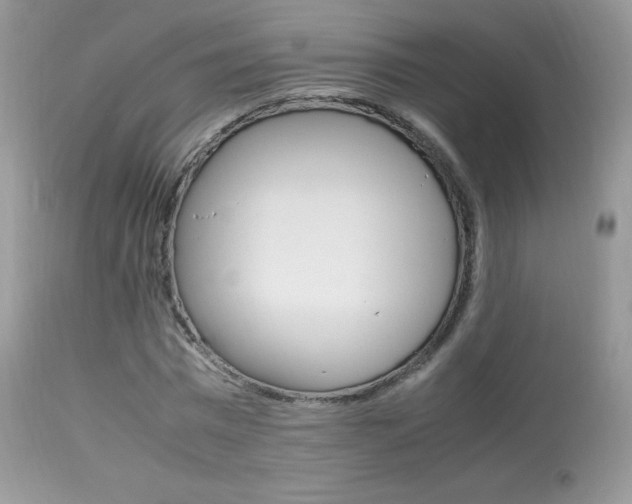 X0000113640777200909181328