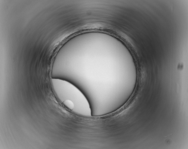 X0000113640778200909181328