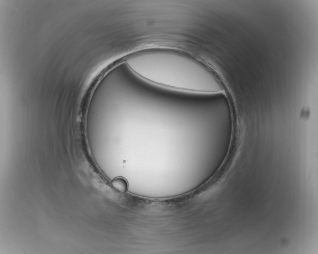 X0000113640779200909181328