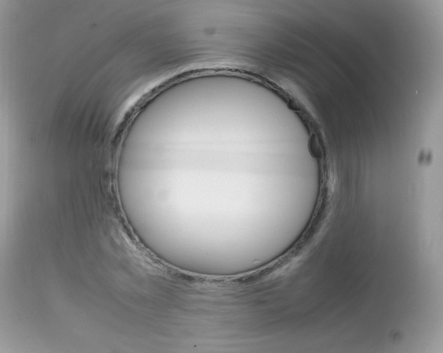 X0000113640781200909181328