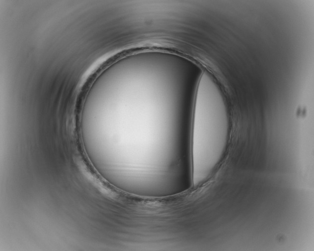 X0000113640784200909181328