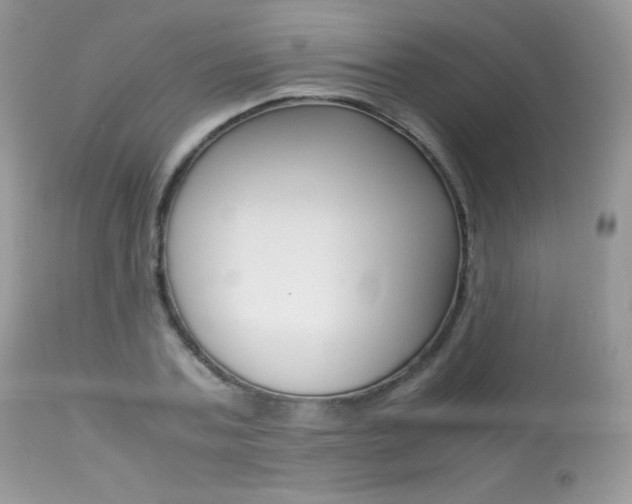X0000113640787200909181328
