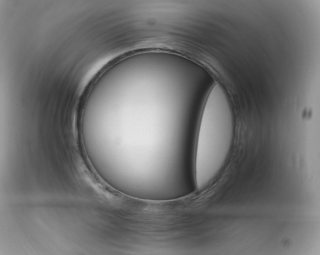X0000113640788200909181328