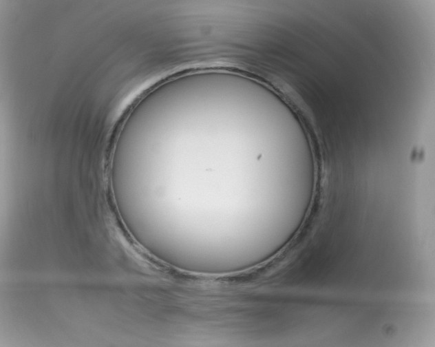 X0000113640789200909181328