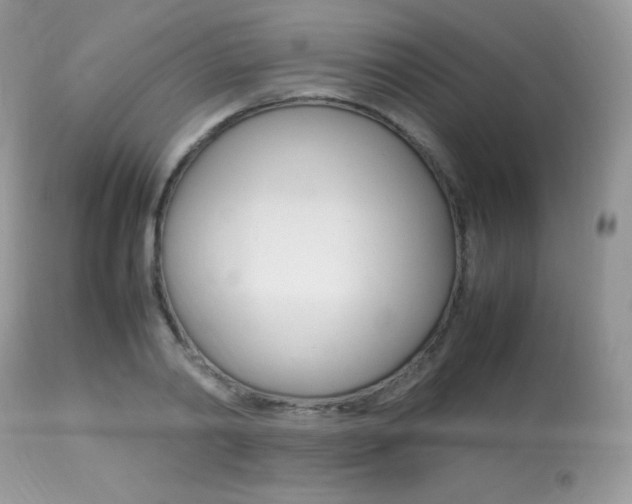 X0000113640790200909181328
