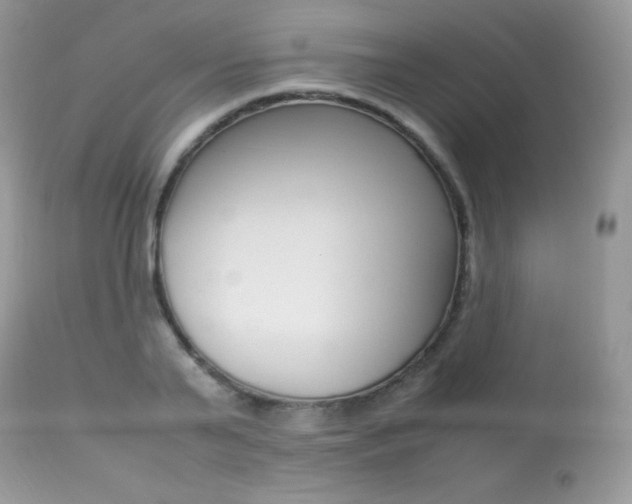 X0000113640791200909181328