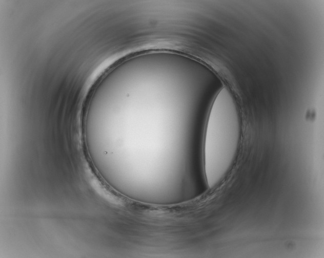 X0000113640792200909181328