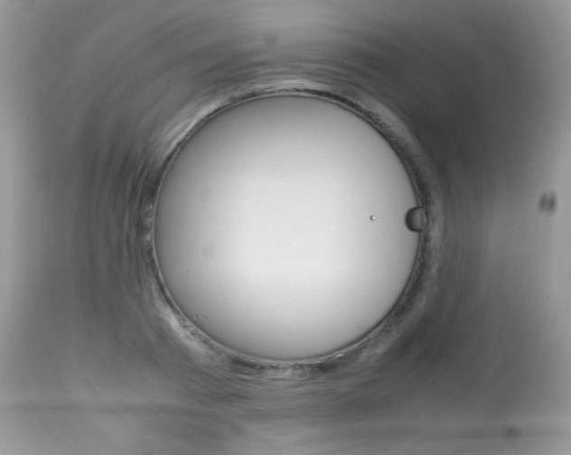 X0000113640793200909181328