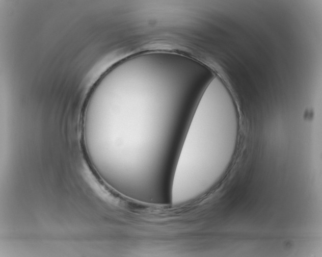 X0000113640795200909181328