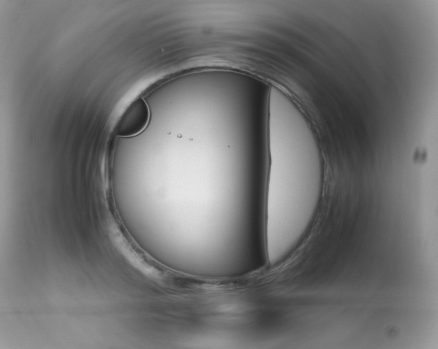 X0000113640796200909181328